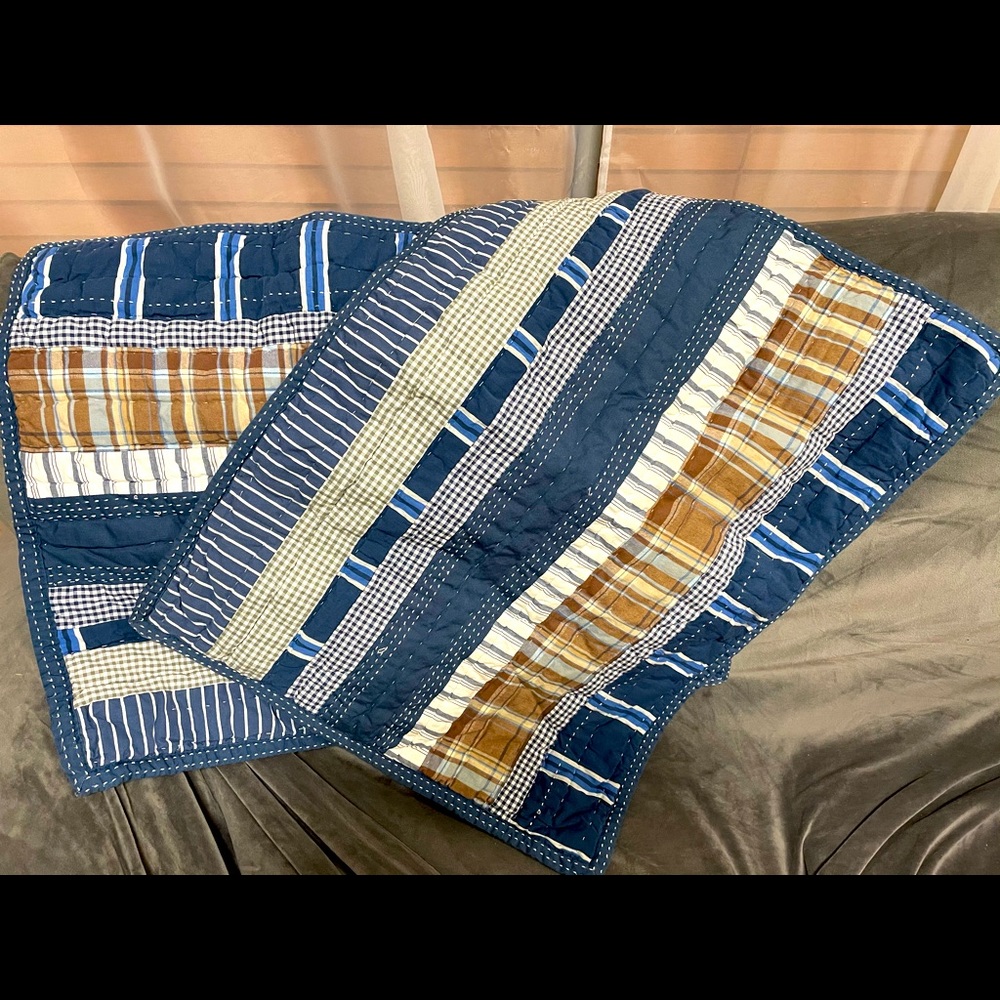 Two Potttery Barn Standart Shams